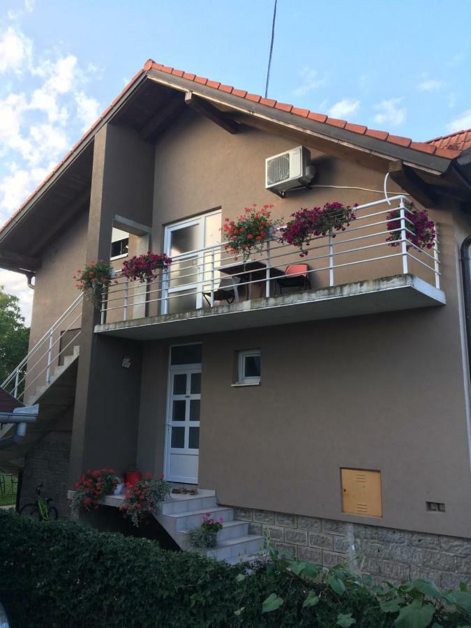 Tenja Guest House Ruza מראה חיצוני תמונה